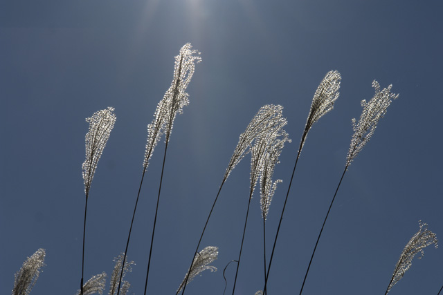 ���줾��ζ��ο������Σ�