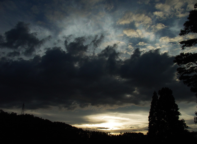 DSC-F77��ͼ���˸����äơ���Zeissñ�����ο������䤦����