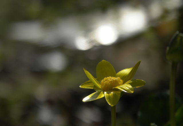 ���ä��㤤�ա������ݥܥ����Σ�