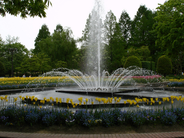 08051009