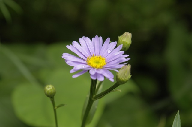 ������������Τ��ޤꡢ�����Ʊ�������������