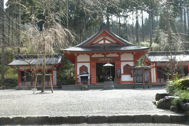 08040807