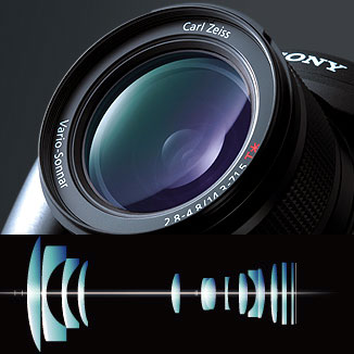 DSC-R1�ΥХꥪ���ʡ�����ʪ���ä���w