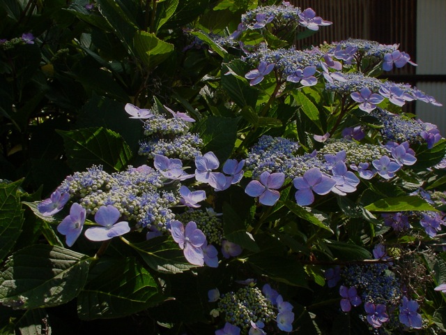 DSC00045