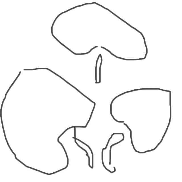 �ѥ����󣲣�