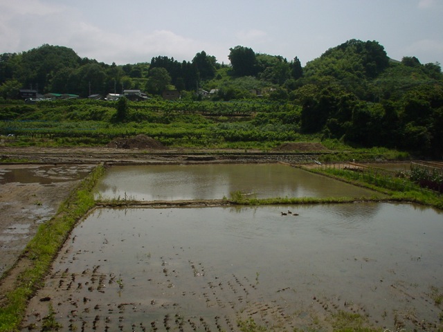 DSC00037
