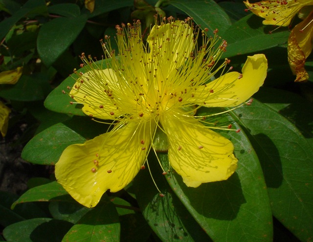 DSC00030