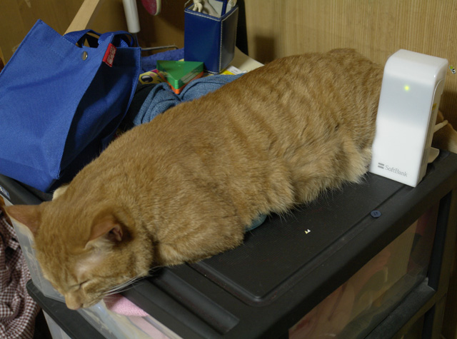 ���㤵�󡪡��ۡ��ॢ��ƥʣ��ϡ��򤿤�ݤ���̵���Τ衪����