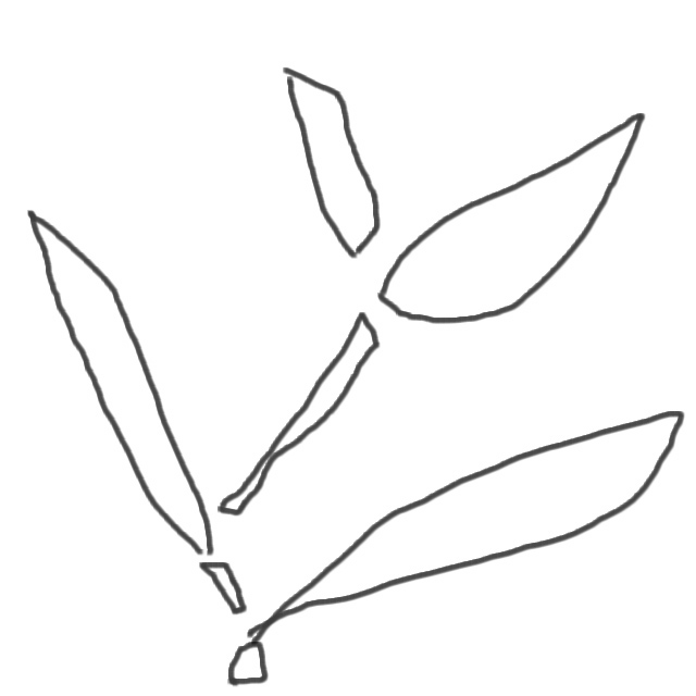 �ѥ����󣲣�