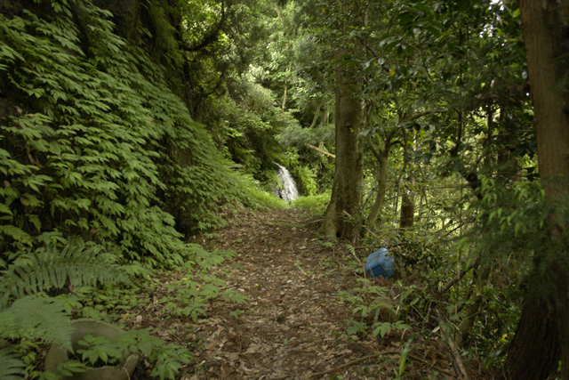 ���λ��⥳������������ƻ�����������Σ�