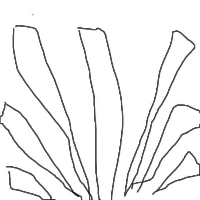 �ѥ�����