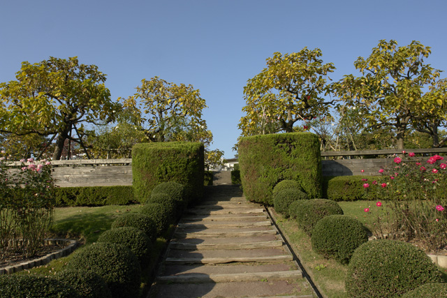 ����ä������̱����