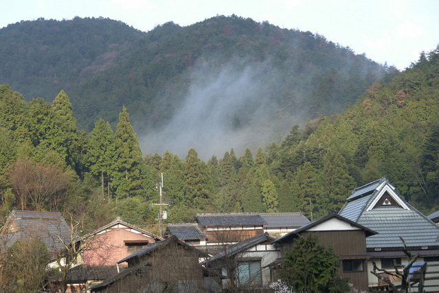 08040407