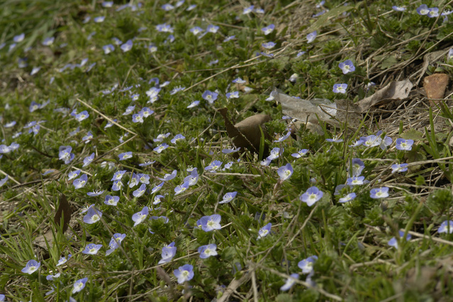 ���ä��㤤�ա������������̥Υե���