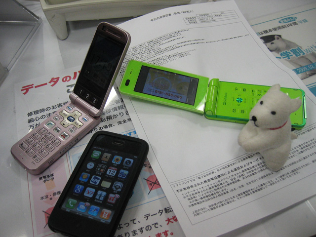 �ۥ磻�Ȳ�²������