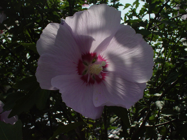 DSC00315