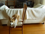 家に中で12