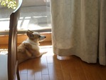 家の中で14