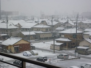 昨日の雪