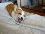 家の中で13
