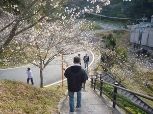 階段は抱っこ