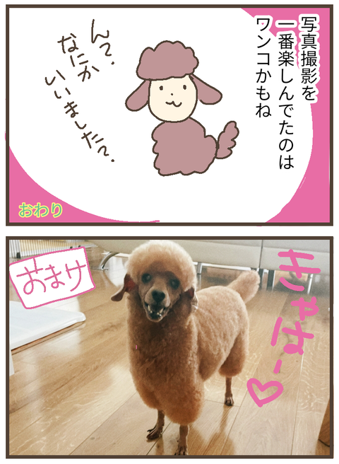 無題155_20230831213543~3