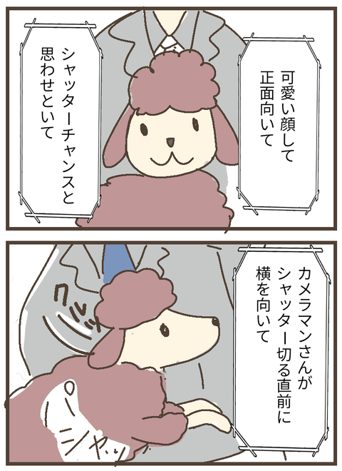 無題156_20230831165135~2