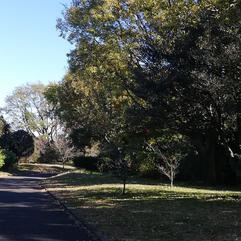 無題51_20220103143810