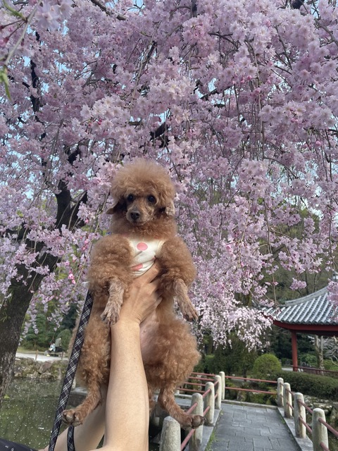 9FCF8B07-3CFB-4FED-BC24-09712F1F2D89