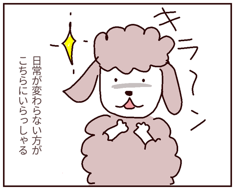 無題273_20220427001852