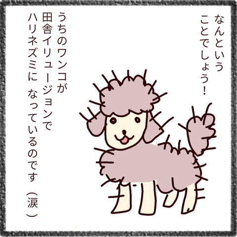 無題34_20211115215738