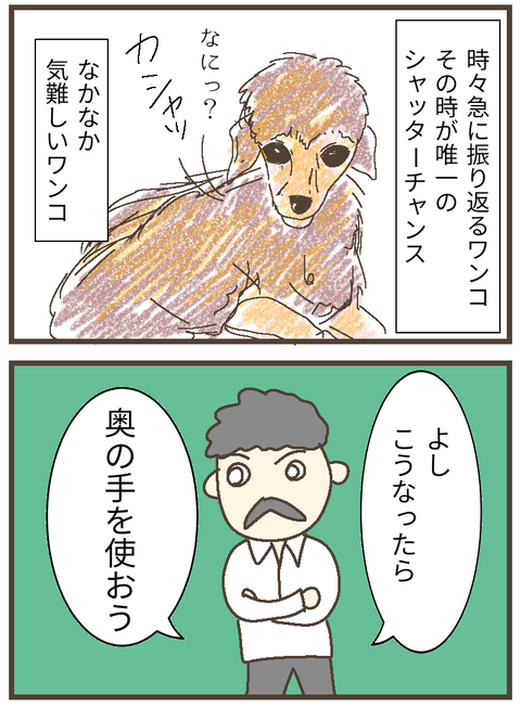 無題151_20230828121555~3