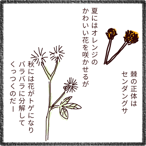 無題34_20211115220919