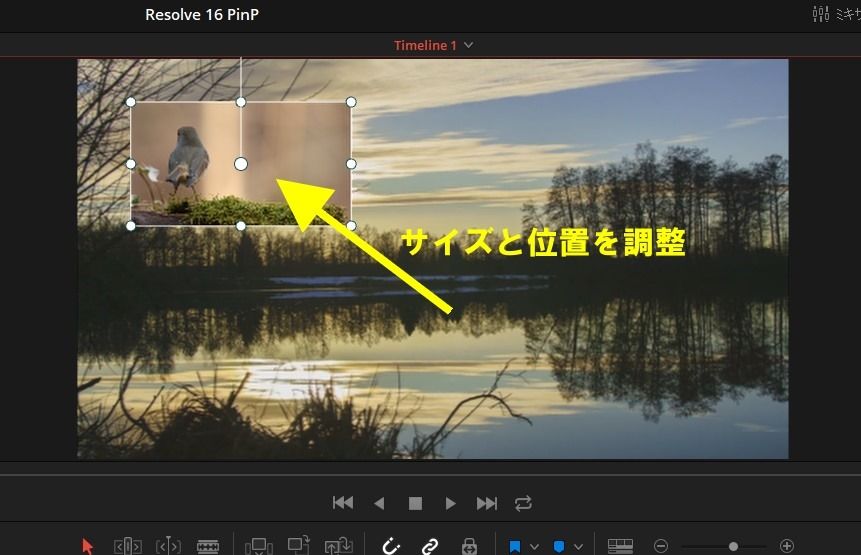 Davinci Resolve 16 で ピクチャー イン ピクチャー エディットキングダム