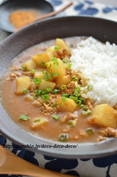 和風カレー5