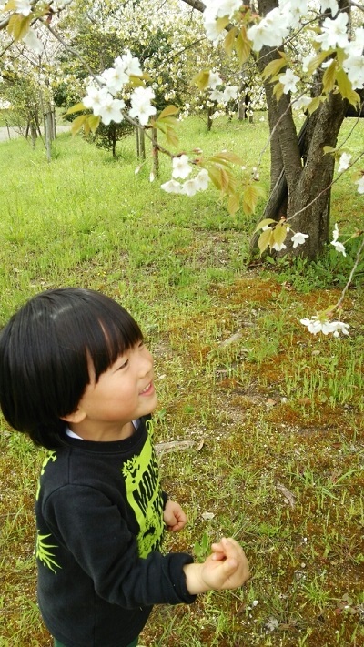 チビ2