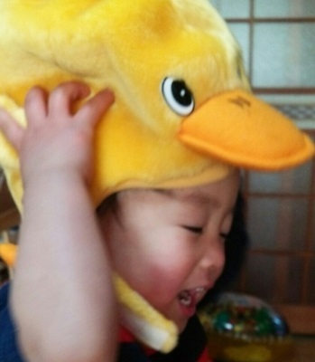 あひるのチビ１