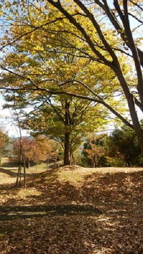 風景