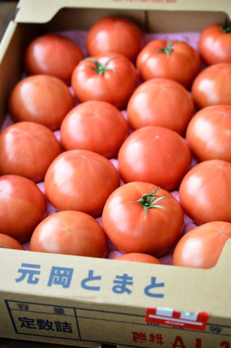 届いた野菜１