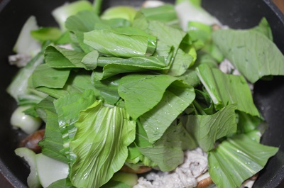 青梗菜工程６