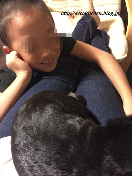 チェロ6