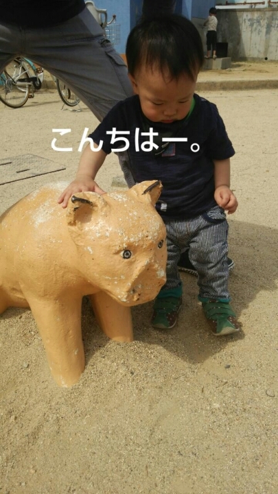 1399328015754.jpg