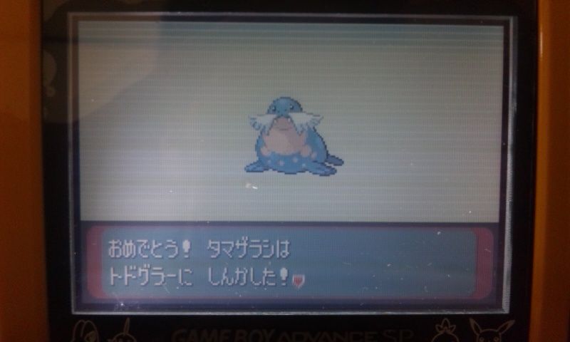 今日のレポート 137 デデンネ通信