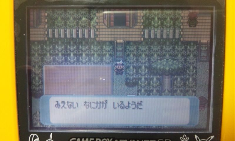 今日のレポート 104 デデンネ通信