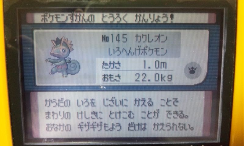 今日のレポート 104 デデンネ通信