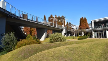 10話 A-005 東京ビッグサイト庭園 DSC_0749*