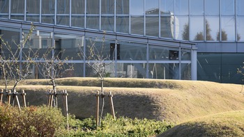 10話 A-016 東京ビッグサイト庭園 DSC_0759*