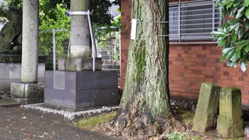 ②09話 B-019 穏田神社 DSC_0480＊