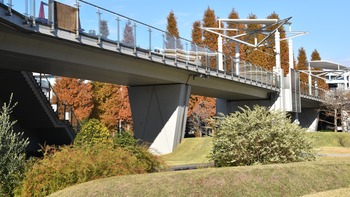 10話 A-019 東京ビッグサイト庭園 DSC_0745*