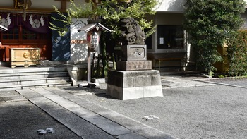 ②09話 B-015 穏田神社 DSC_0476＊